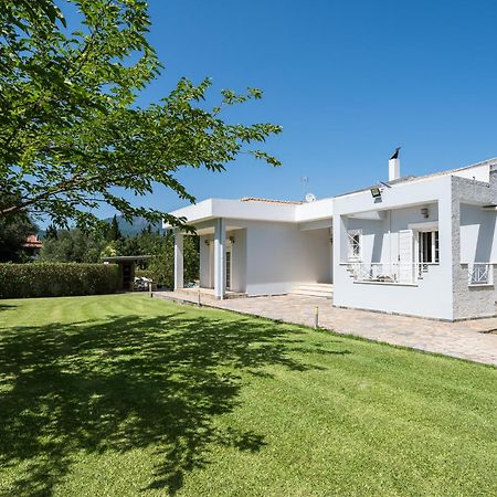 Villa Nefeli With Private Pool By Konnect Дасия Екстериор снимка